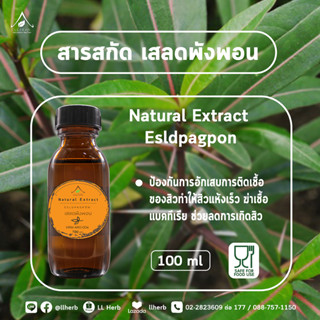 สารสกัด เสลดพังพอน Barleria extract