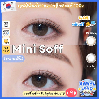 คอนแทคเลนส์ Mini Soff Brown (Kitty Kawaii) ขนาดมินิ 🌷