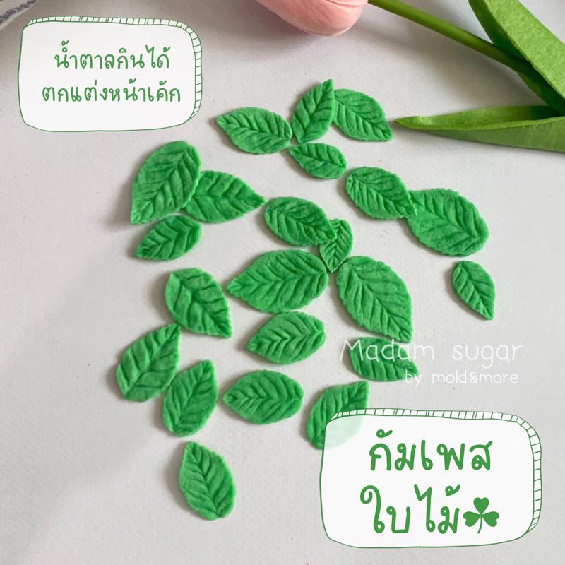 Madame Sugar: น้ำตาลกัมเพส "ใบไม้" 🍃 : มาดามซูการ์