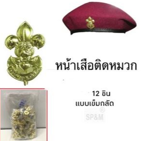 เข็มติดหมวก ลูกเสือสามัญ แบบเข็ม (12ชิ้น/แพค)