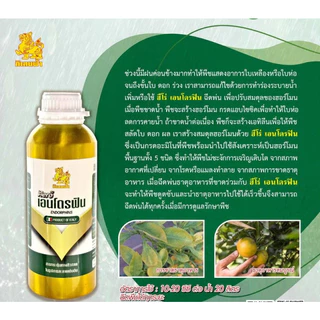 ฮีโร่ เอนโดรฟิน ( 500cc ) ช่วยปรับสมดุลให้พืช มีกรดอะมิโน ช่วยให้พืชแข็งแรงเติบโตฉีดได้ทุกช่วงของการเจริญเติบโต