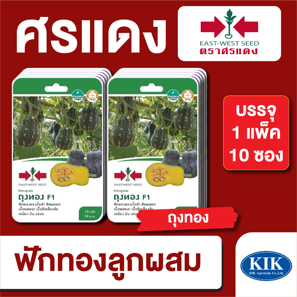ผักซอง ศรแดง ฟักทอง ถุงทอง F1 บรรจุแพ็คล่ะ 10 ซอง