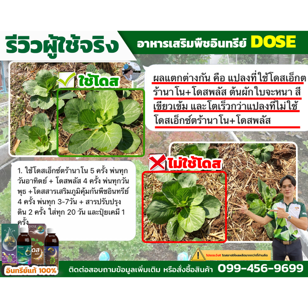 โดสเอ็กซ์ตร้านาโน [โปรส่งฟรี] โดส Dose extra nano ฮอร์โมนพืช  เร่งใบ เร่งต้น  เร่งโตเพิ่มผลผลิต - รูปที่ 3