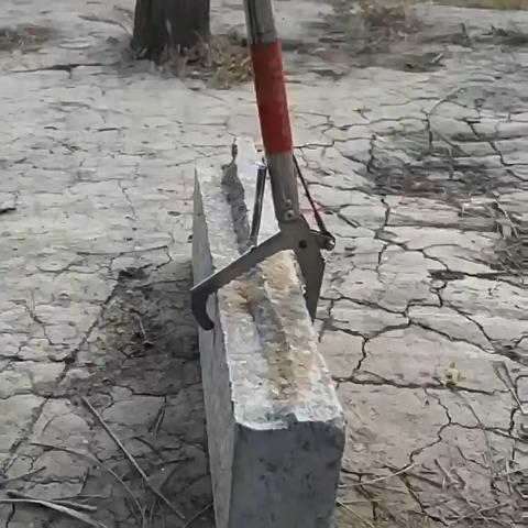 รูปภาพ 8