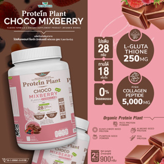 โปรตีนแพลนท์ สูตร 3 ( รสช็อกโก้ มิกซ์เบอร์รี่ ) Protein Plant ปริมาณ 900 กรัม ออแกรนิค คอลลาเจนเปปไทด์ แอลกลูต้าไธโอน