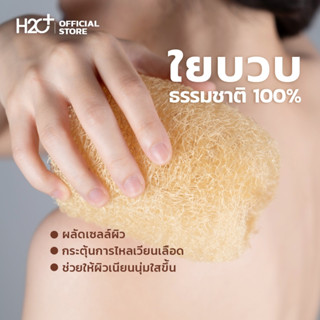 H2O Plus ใยบวบขัดตัว ใยบวบขัดผิว ขัดหลัง แบบท่อน ขนาด 10-12 cm ผลิตจากธรรมชาติ 100% ไม่ฟอกสาร