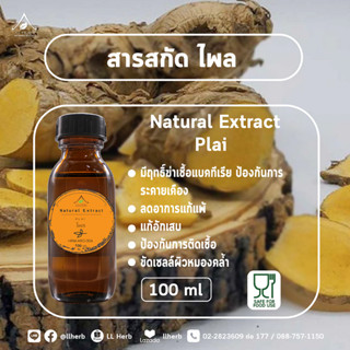 สารสกัดน้ำมันไพล 100%   plai extract  100 กรัม