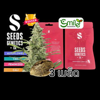 เมล็ดกัญชา Seeds Genetics - Northern Light (Fem)