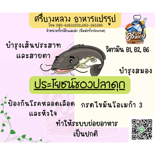 ปลาดุกแดดเดียว หั่นชิ้น ขนาด 500/1000 กรัม