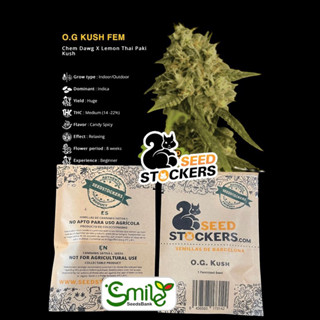 เมล็ดกัญชา OG Kush (Fem) - Seed Stockers