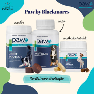 พร้อมส่งsmall breed 🐶PAW by Blackmores Osteocare Joint Protect Dog วิตามินบำรุงข้อสุนัข x Petsister