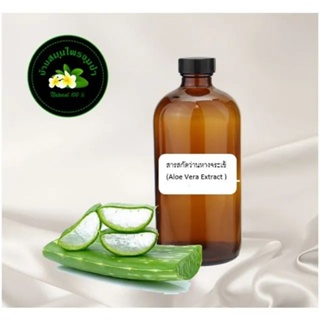 สารสกัดว่านหางจระเข้ สูตรเข้มข้น 100ml ( Aloe vera Extract)