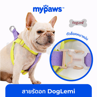 [🔥MYPAWS100] My Paws สายรัดอก DogLemi  รัดอกสุนัข ชุดรัดอกสุนัข (G) สีพาสเทล สายจูงสุนัข สำหรับสุนัขและแมว