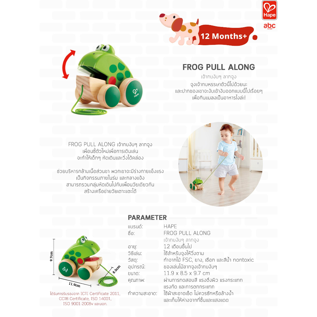 Hape - Frog Pull Along เจ้ากบงับๆ ลากจูง 12M+ รูปที่ 8