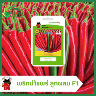 พริกลูกผสม นำ้แพร่ F1 Hybrid (Capsicum spp.) ตรากบดำกบแดง