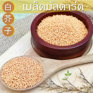 เมล็ดมัสตาร์ดเหลือง 250 500 1000 กรัม yellow mustard seeds Bai Jie Zi 白芥子 เม็ดมัสตาร์ด เหลือง แปะไก่จี้