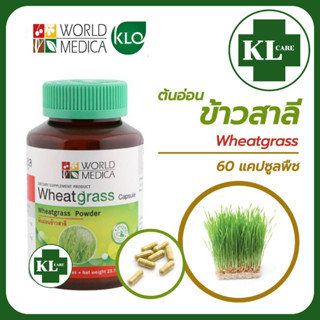 Wheat grass ต้นอ่อนข้าวสาลี วีทกราส บำรุงโลหิต ล้างสารพิษ ขาวละออ 60 แคปซูล