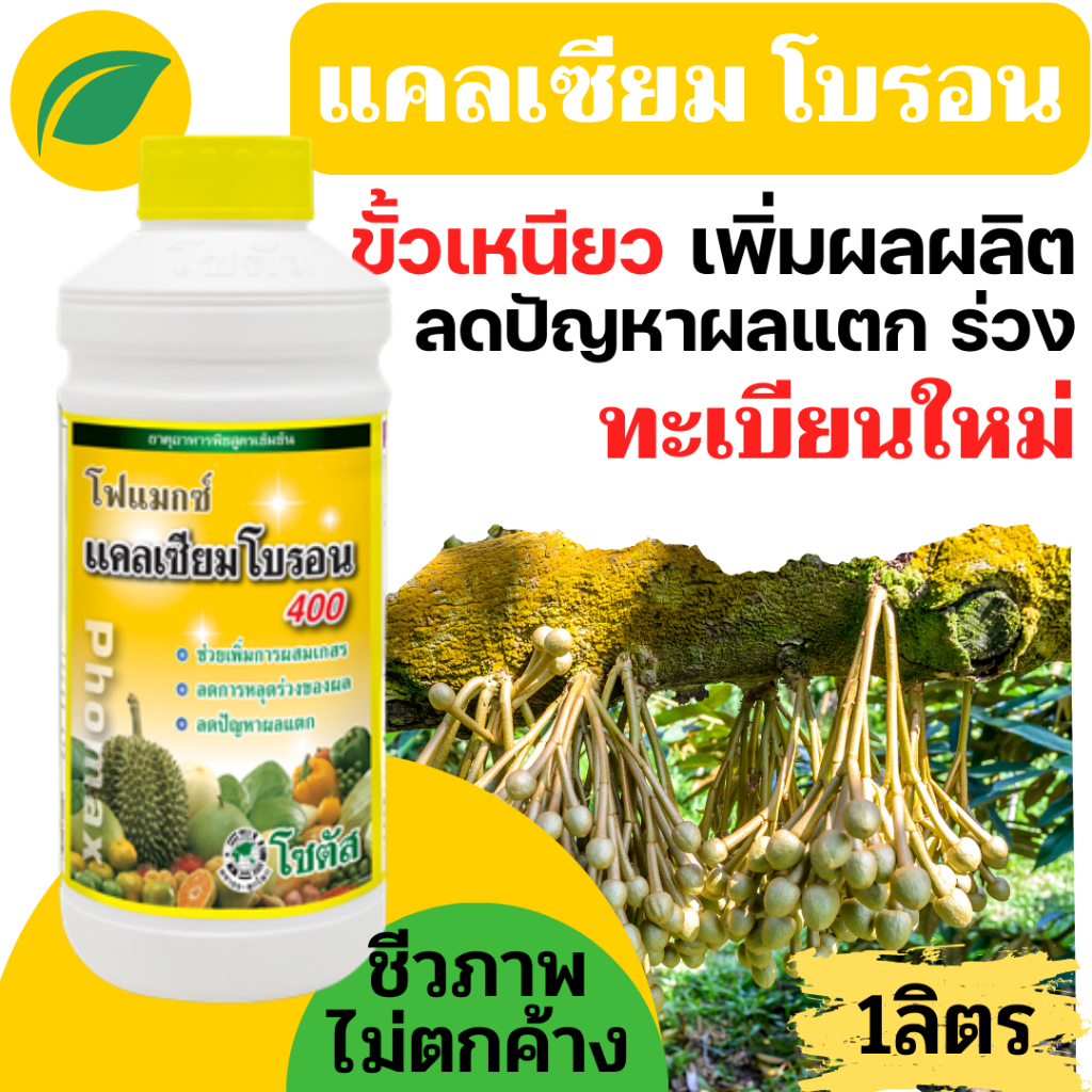 [1ลิตร] แคลเซียมโบรอน สูตรคีเลต ธาตุอาหารพืชสูตรเข้มข้น สีสด เนื้อแน่น ขั้วเหนียว ป้องกันผลแตก