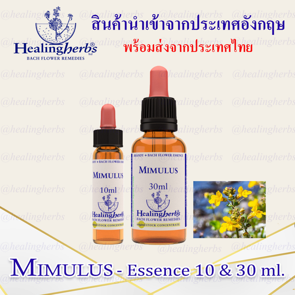 (Mimulus) Bach Flower Essence (droppler) ขนาด 10 ml. หรือ 30 ml. ของแท้ 100% ***พร้อมส่งในไทย***