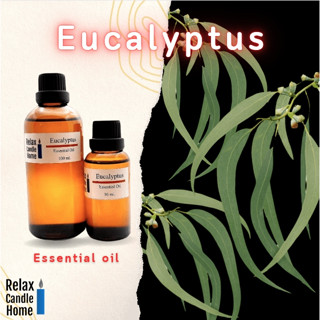 น้ำมันหอมระเหย  Eucalyptus Oil ยูคาลิปตัส (Eucalyptus Essential Oil)สำหรับเทียนเเละเครื่องหอม 30ml, 100ml