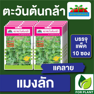 เมล็ดพันธุ์ ผักซอง แมงลัก แคลาย  ตราตะวันต้นกล้า บรรจุแพคล่ะ 10 ซอง ราคา 64 บาท