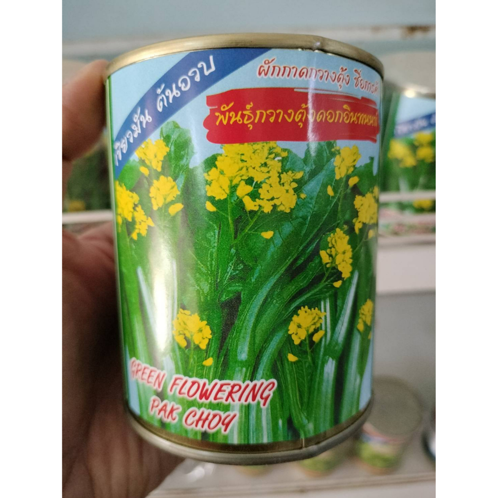ผักกาดกวางตุ้ง พันธุ์กวางตุ้งดอกอินทนนท์(ขนาด 80 กรัม)
