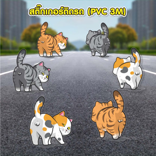 สติ๊กเกอร์ติดรถ PVC 3M สำหรับตกแต่งรถยนต์ (แมวมอง)