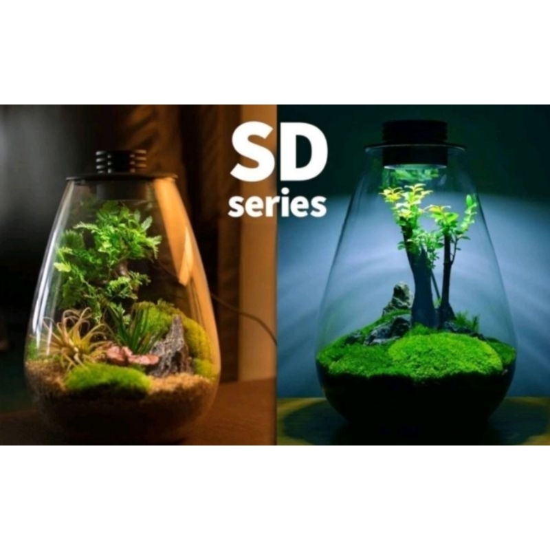 Bioloark terrarium (Bio Bottle LED SD) รูปทรงหยดน้ำ เทอร์ราเรียม สวนขวด ตู้ไม้ชื้น