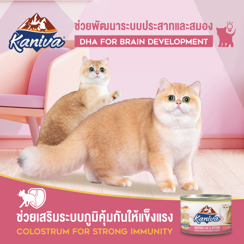 (1 ลัง) Kaniva Mother Cat & Kitten อาหารแมวคานิว่า ชนิดเปียก สูตรแม่แมว และลูกแมว แบบกระป๋อง ราคา ถูกที่สุด ดีลบีเคเค แกลเลอรีภาพที่ 8