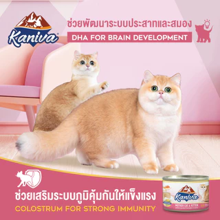 (1 ลัง) Kaniva Mother Cat & Kitten อาหารแมวคานิว่า ชนิดเปียก สูตรแม่แมว และลูกแมว แบบกระป๋อง