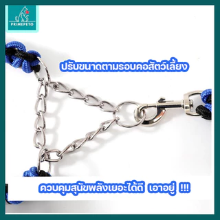 ปลอกคอสุนัขพร้อมเชือกจูง แข็งแรง ทนทาน ปรับขนาดได้อัตโนมัติ เหมาะสำหรับสุนัขพันธุ์เล็ก-พันธุ์ใหญ่ เชือกจูงสุนัข
