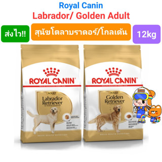 Royal Canin Golden Retriever / Labrador Adult  12kg รอยัลคานิน โกลเด้น ลาบราดอร์ ขนาด 12 กิโลกรัม