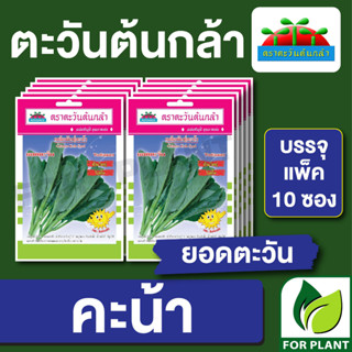 เมล็ดพันธุ์ ผักซอง คะน้า ยอดตะวัน ตราตะวันต้นกล้า บรรจุแพคล่ะ 10 ซอง ราคา 64 บาท