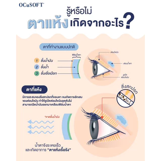 ((ของแท้ร้านยา)) Ocusoft Lid Scrub Foam / Plus / Scaderm Eye Soft