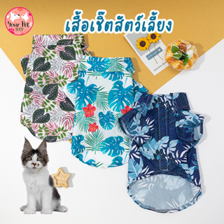 เสื้อฮาวายรุ่น Sea Collection Hawaii เสื้อหมา ชุดแมว ชุดสัตว์เลี้ยง พุดเดิ้ล ปอม บีเกิ้ล