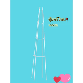 🌹ซุ้มทรีโรส🌹กุหลาบทรีโรส(T-Rose)ขนาด 70-90-100cm.มี2สี ขาว/ สีดำ