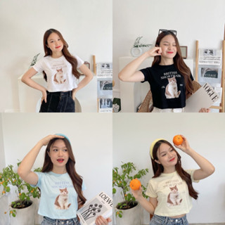 British🐶 Toy🐶🥣. เสื้อครอปหมาแมว เสื้อลายหมาแมว เสื้อครอปหมาแมว  เสื้อยืดทรง baby crop cotton 100% อก 32-36 ยาว 16