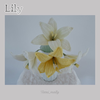 ดอกลิลลี่ (lily flower)