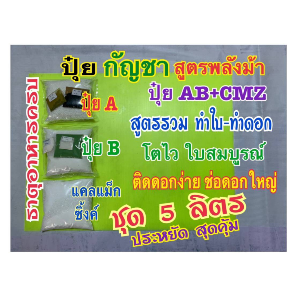 ปุ๋ย กัญ ปุ๋ยกันชา ชุด 5 ลิตร สูตรพลังม้า ปุ๋ยAB+แคลแม็กซิ้งค์CMZ สูตรรวมทำใบ-ทำดอก