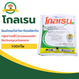 🔺โกลเรน ไดเมโทมอร์ฟ+ไพราโคลสโตรบิน ป้องกันโรคราน้ำค้าง