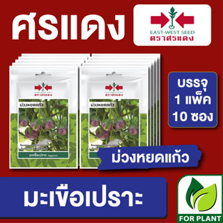 เมล็ดพันธุ์ ผักซอง มะเขือเปราะม่วงหยดแก้ว ตราศรแดง บรรจุแพ็คล่ะ 10 ซอง ราคา 70 บาท