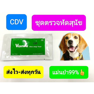 ชุดตรวจหัดในสุนัขรู้ผลภายใน5นาทีจัดส่งจากไทย
