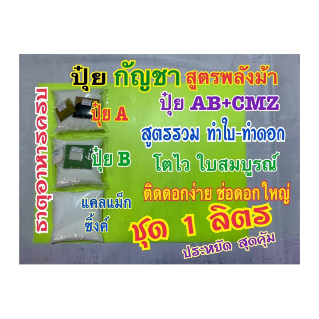 ปุ๋ยกัญ ปุ๋ยกันชา ชุด 1 ลิตร สูตรพลังม้า ปุ๋ยAB+แคลแม็กซิ้งค์CMZ สูตรรวมทำใบ-ทำดอก