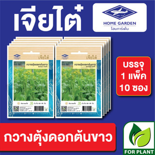 เมล็ดพันธุ์ ผักซอง กวางตุ้งดอกต้นขาว ตราเจียไต๋ บรรจุแพ็คล่ะ 10 ซอง ราคา 70 บาท