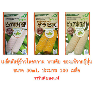 (100เมล็ด) เมล็ดพันธุ์ ข้าวโพด เพียวไวท์ กราวิส ข้าวโพดฮอกไกโด ข้าวโพดนมสด ข้าวโพดญี่ปุ่น Pure White ข้าวโพดกินดิบ หวาน