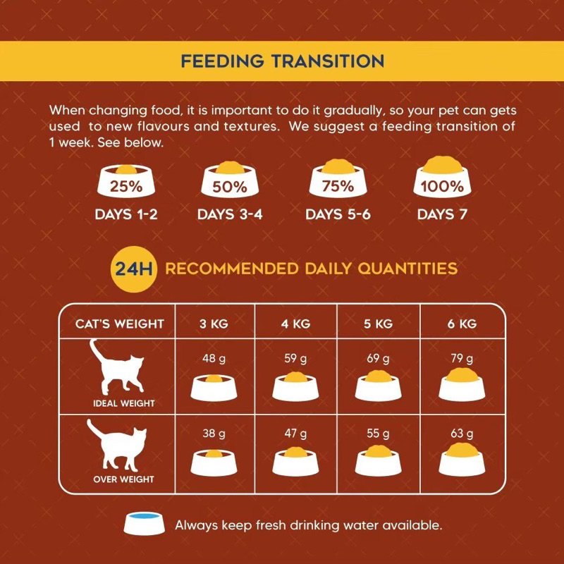 รูปภาพ 6