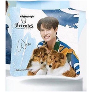 Win X Hercules Limited Edition Pillow หมอนอิงวิน