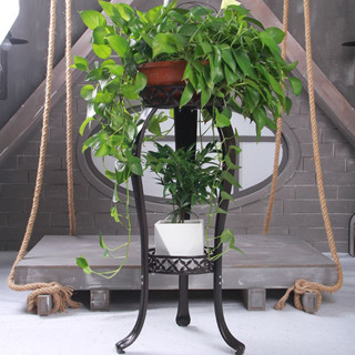 Plant display stand ชั้นวางกระถางดอกไม้ เหล็ก 2 ชั้น 31x31x82 cm สีบรอนซ์ ST0531-24BR