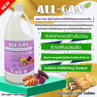 ปุ๋ยน้ำมันสำปะหลังและมันทุกชนิด1000 ML.ผลผลิตสูงช่วยเร่งความหวานและเพิ่มสีผลALL GANไซโตไคนินและกรดอะมิโนสร้างภูมิต้านทาน