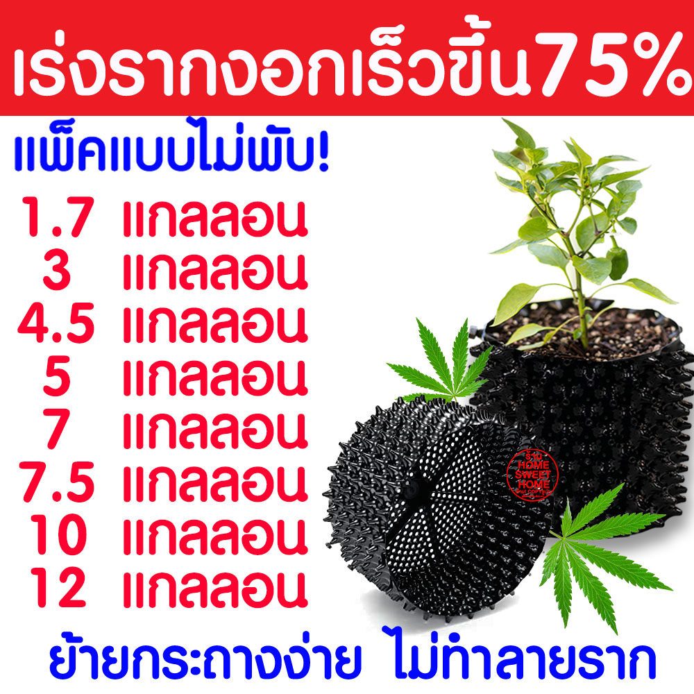 *โค้ดส่งฟรี* กระถางปลูกต้นไม้เร่งราก Air Pot กระถางมีรู กระถางเพิ่มรากเร็วขึ้น 2เท่าปลูกต้นไม้ Clearance
